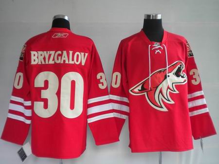 Phoenix Coyotes jerseys-002